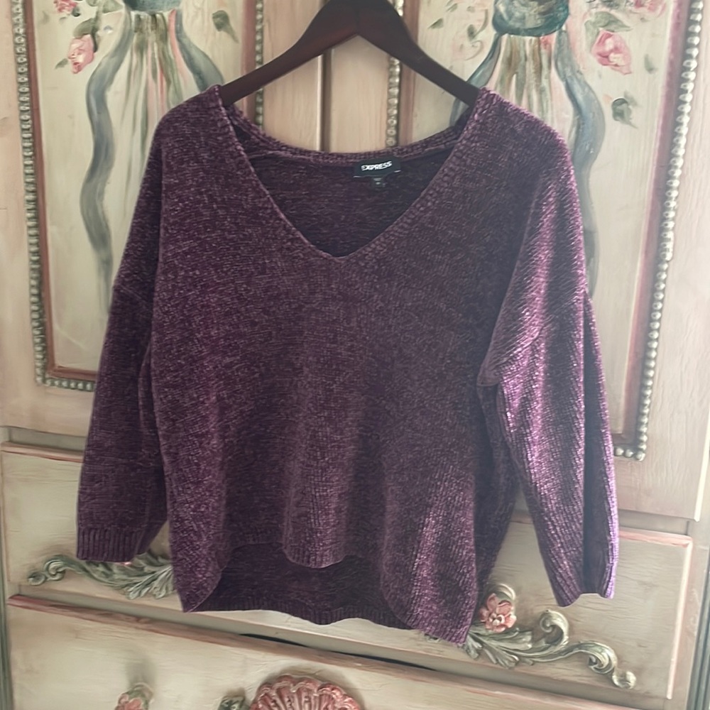Express sweater